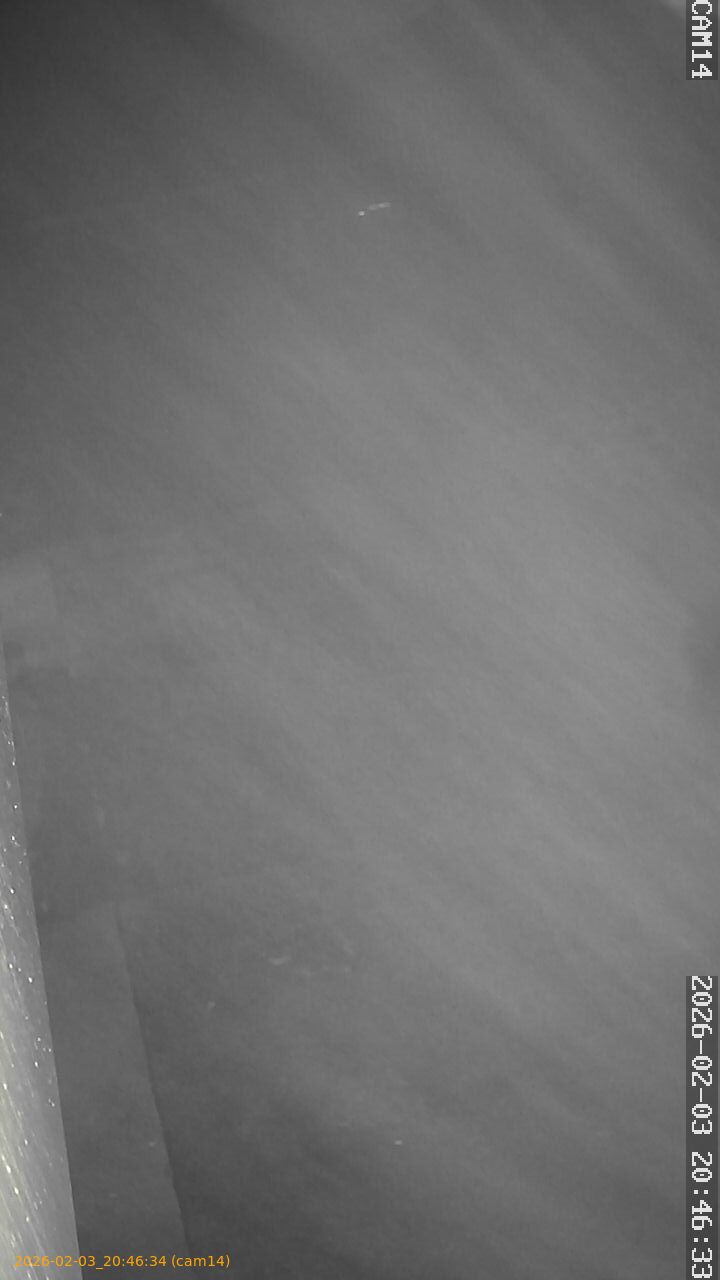 thumbnail_20260203204634