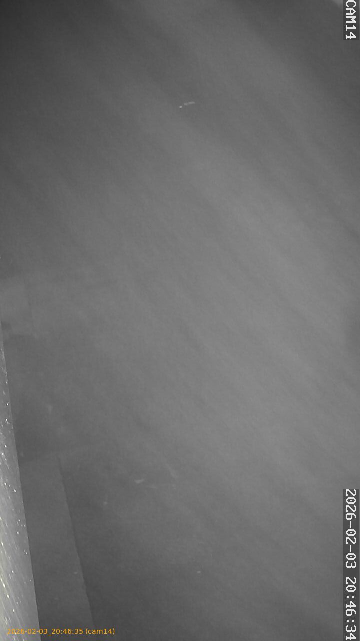 thumbnail_20260203204635