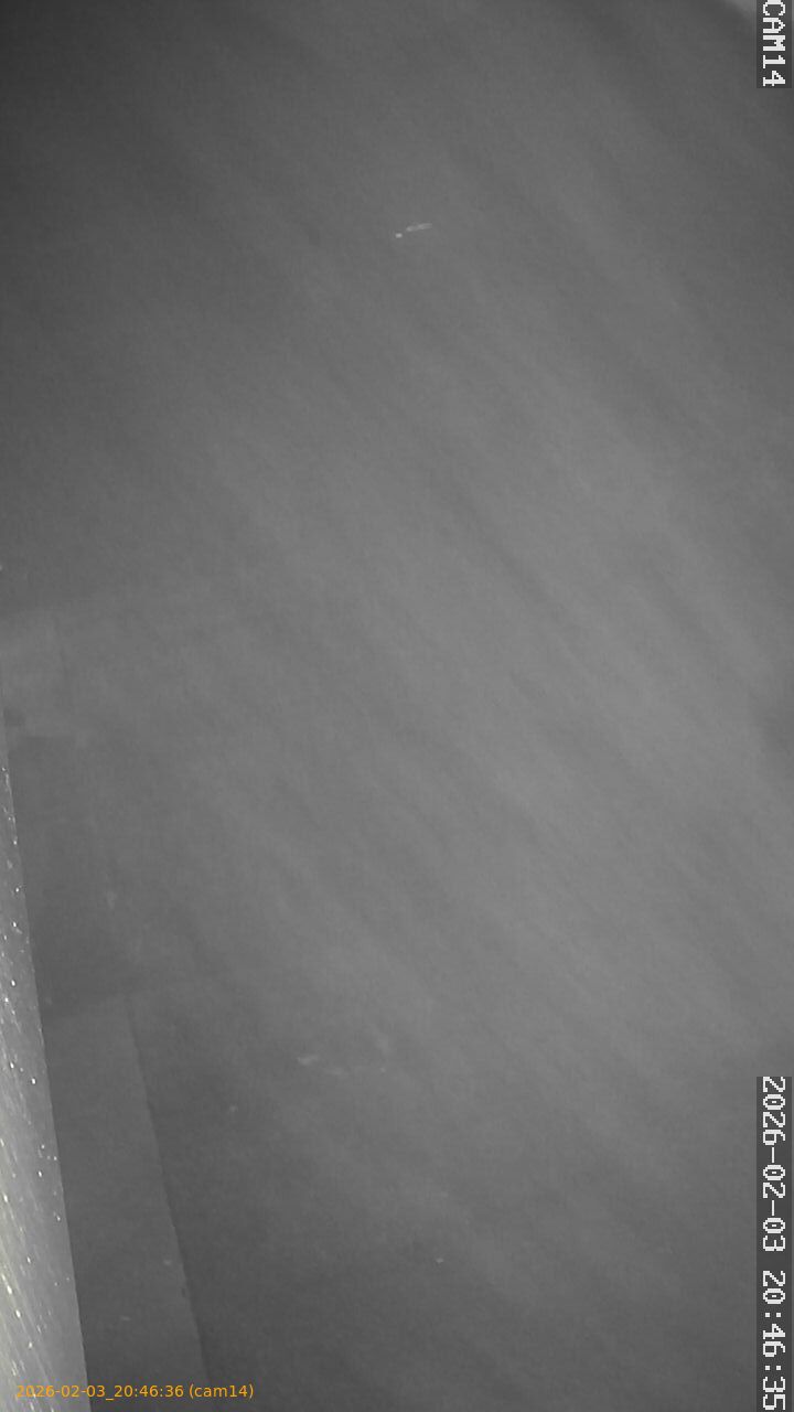 thumbnail_20260203204636