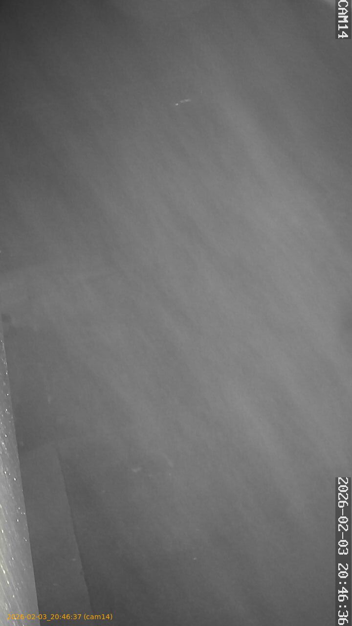 thumbnail_20260203204637