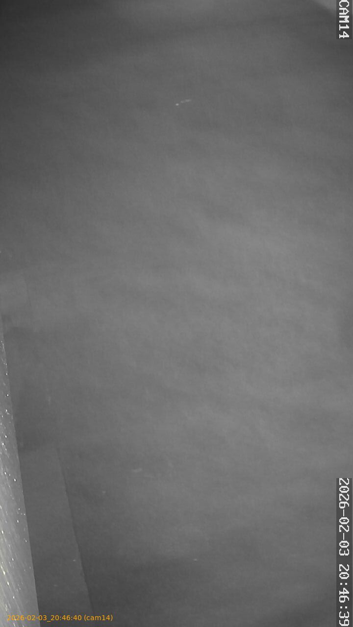 thumbnail_20260203204640