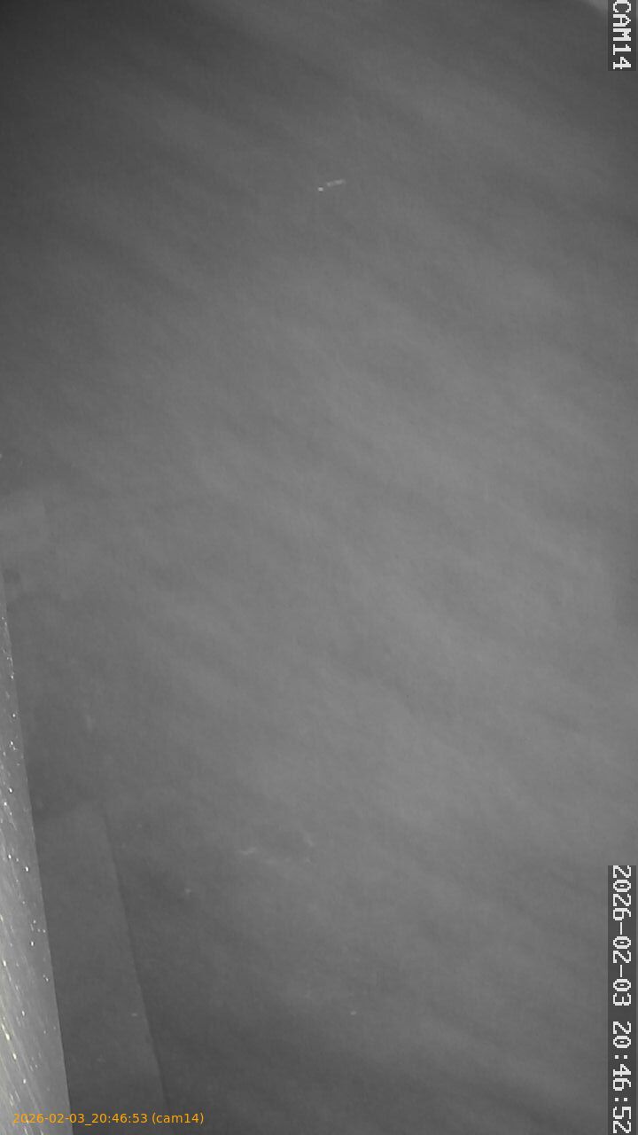 thumbnail_20260203204653