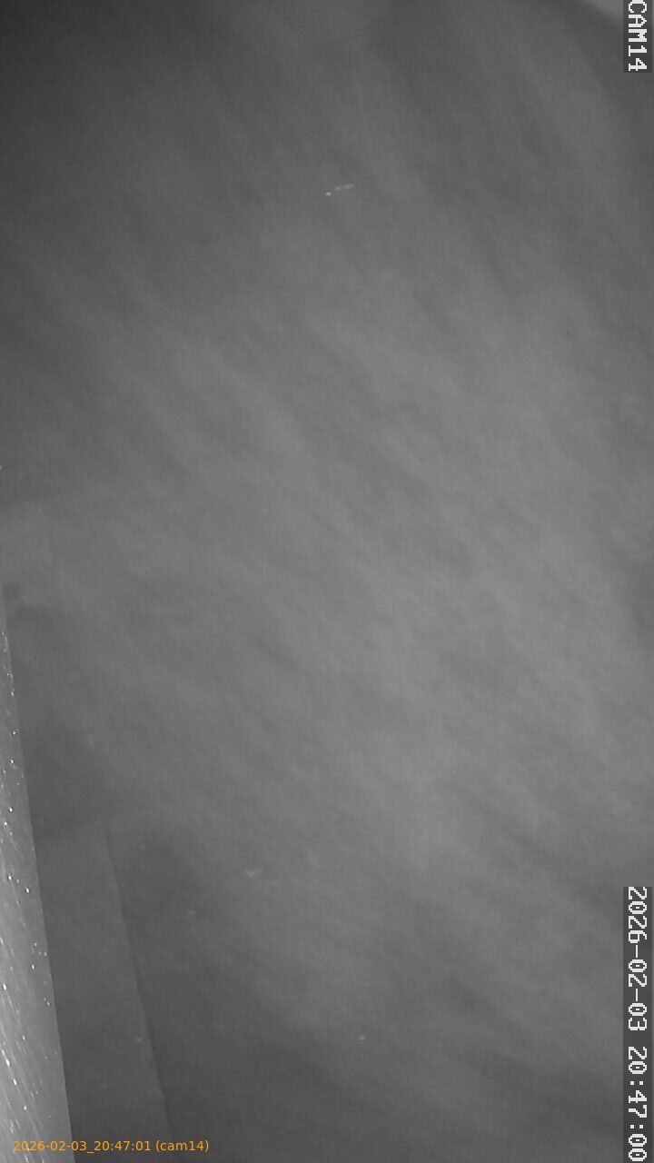 thumbnail_20260203204701