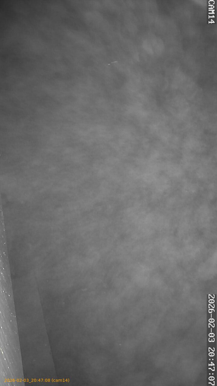 thumbnail_20260203204708