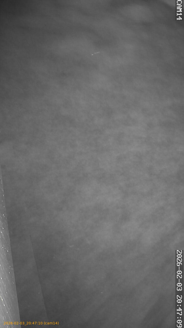 thumbnail_20260203204710