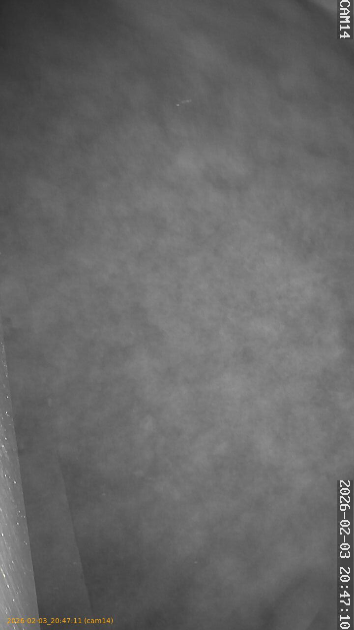 thumbnail_20260203204711