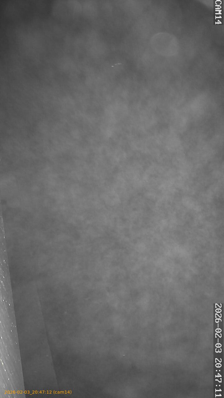 thumbnail_20260203204712