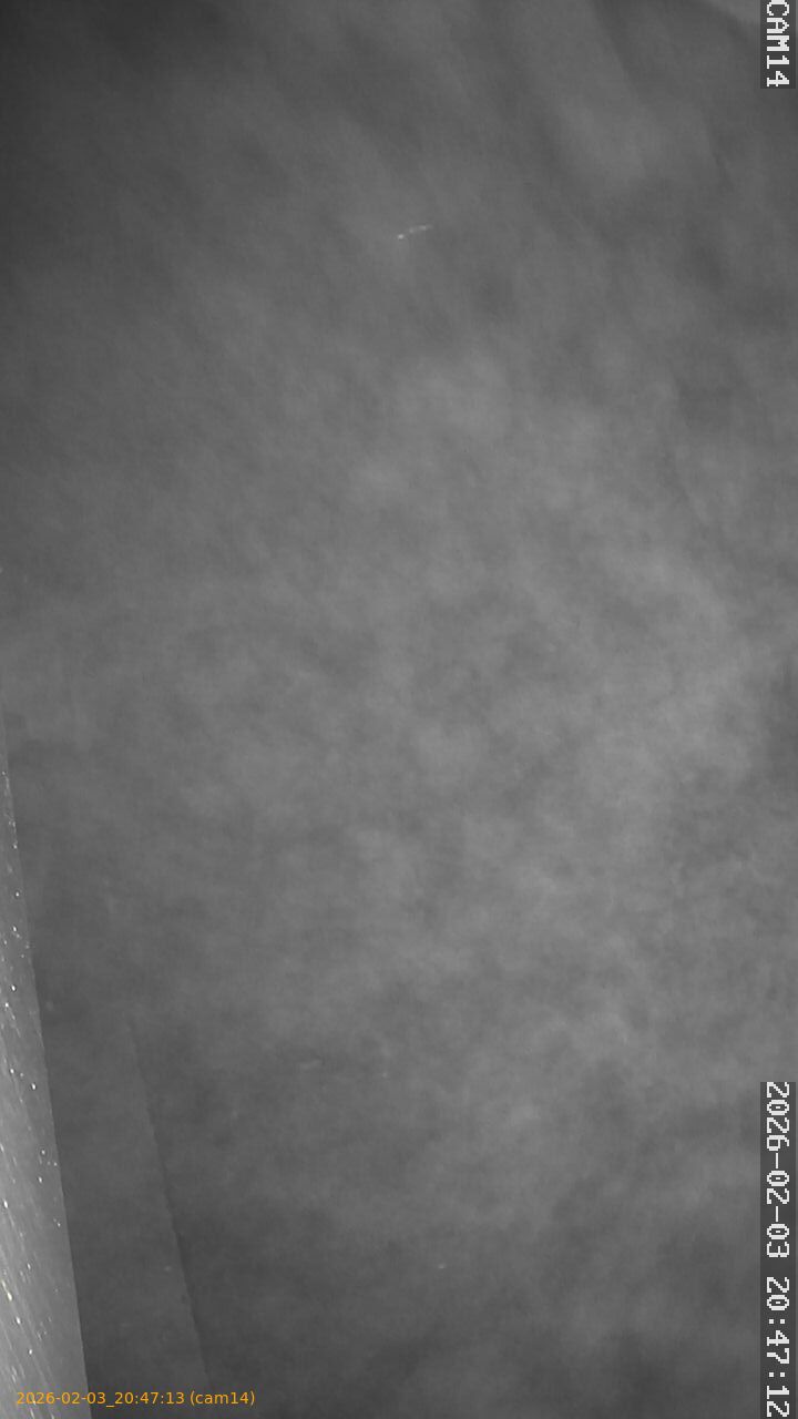 thumbnail_20260203204713