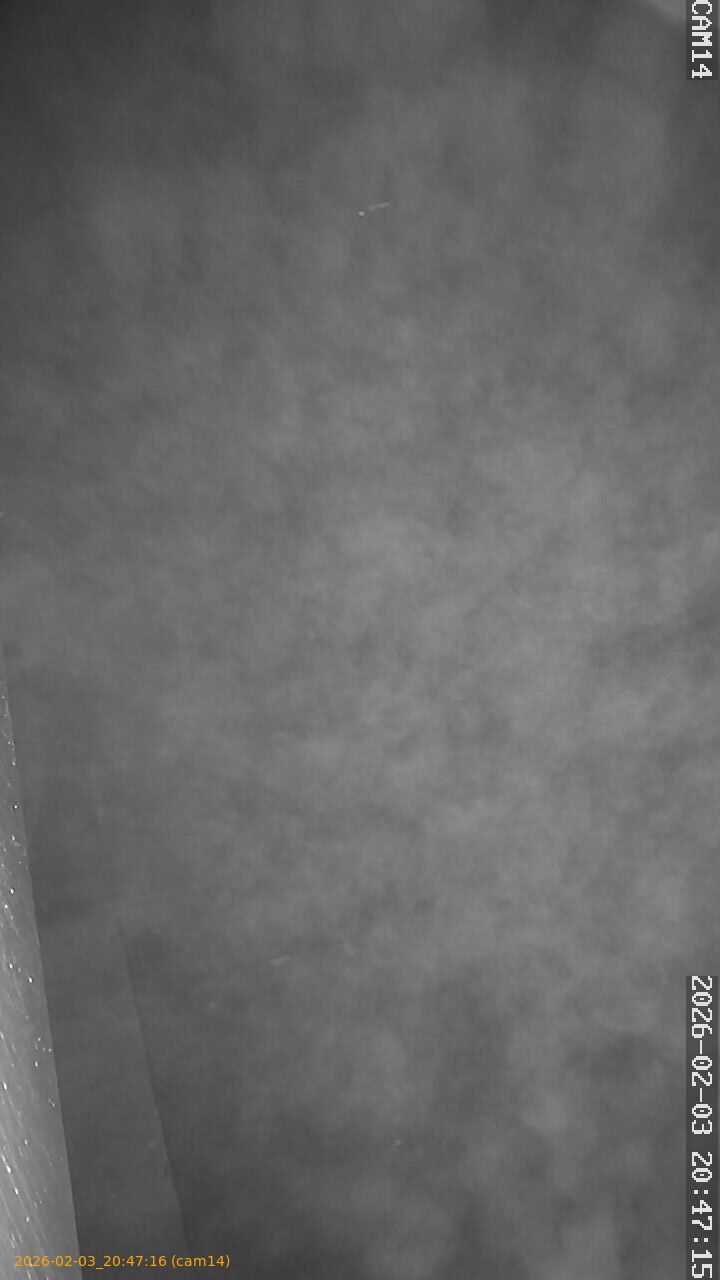 thumbnail_20260203204716