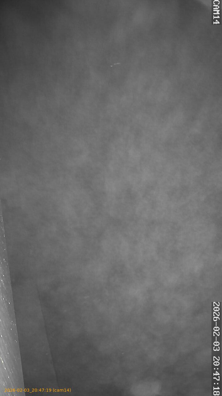 thumbnail_20260203204719