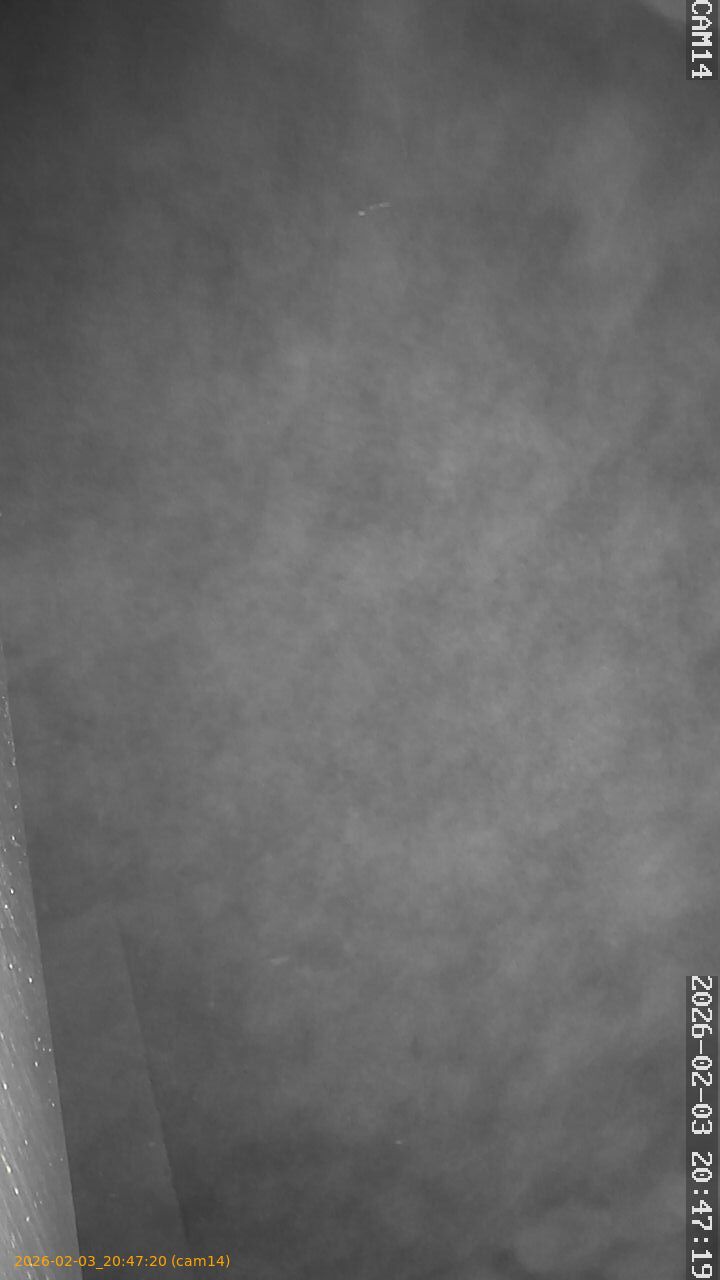 thumbnail_20260203204720