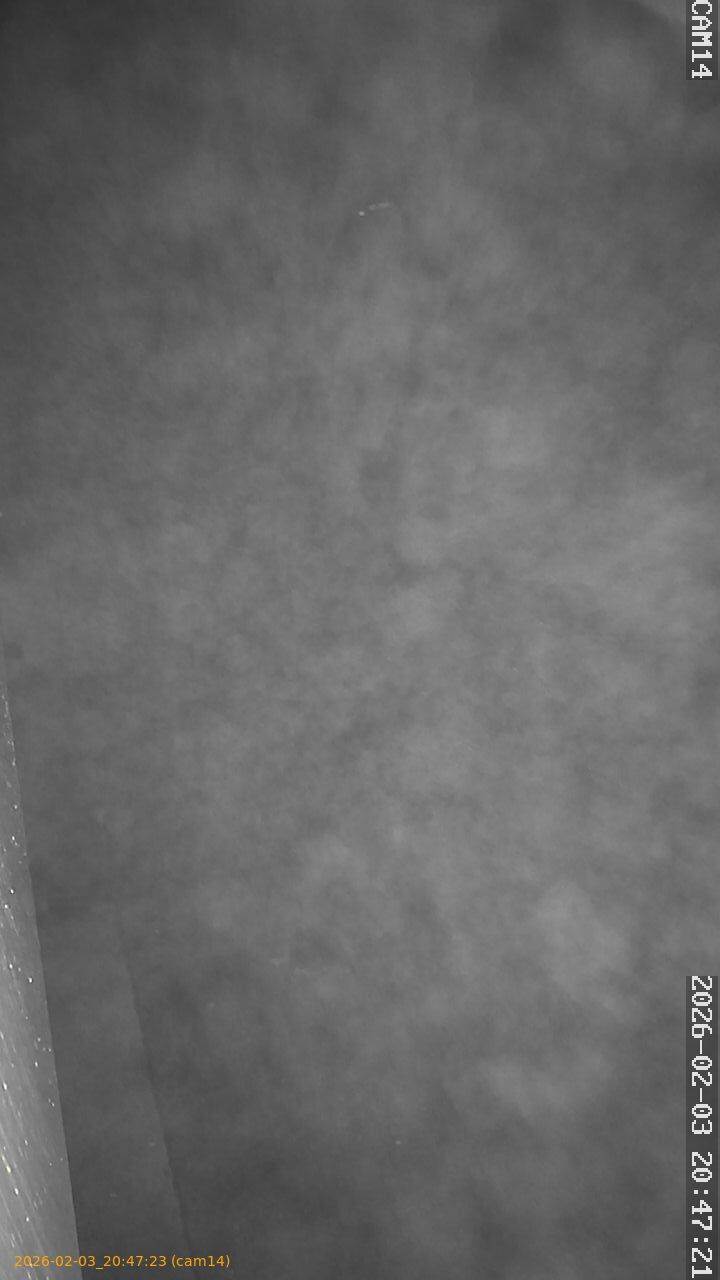 thumbnail_20260203204722