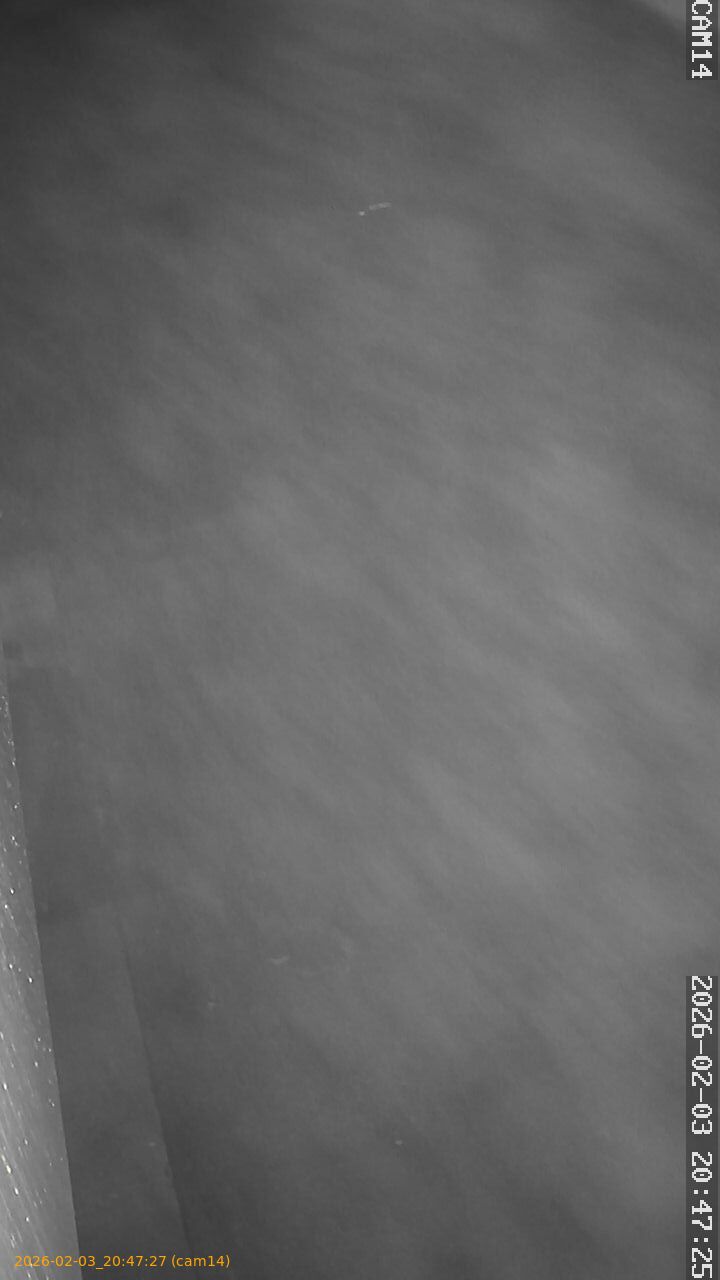 thumbnail_20260203204727