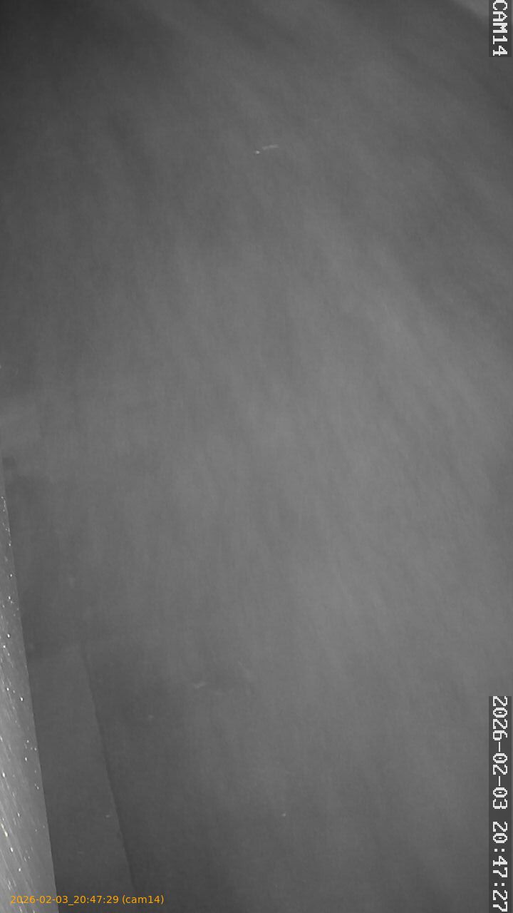 thumbnail_20260203204728