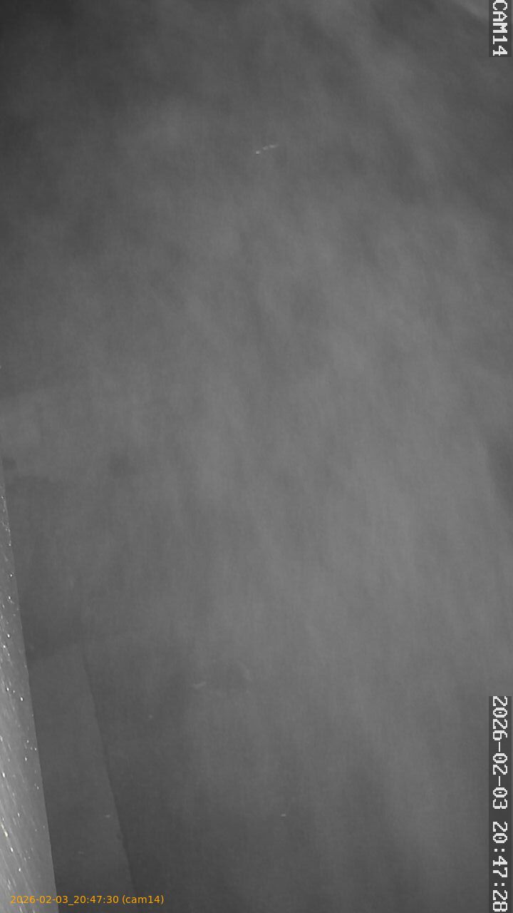 thumbnail_20260203204730