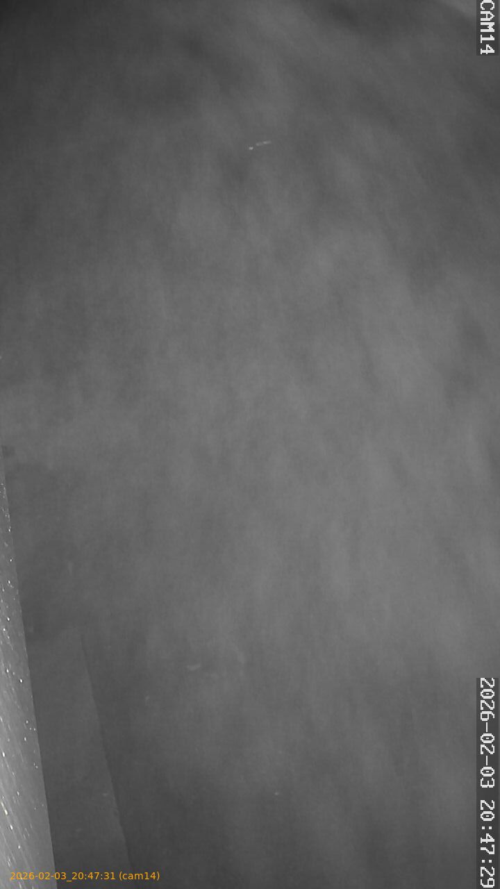 thumbnail_20260203204731