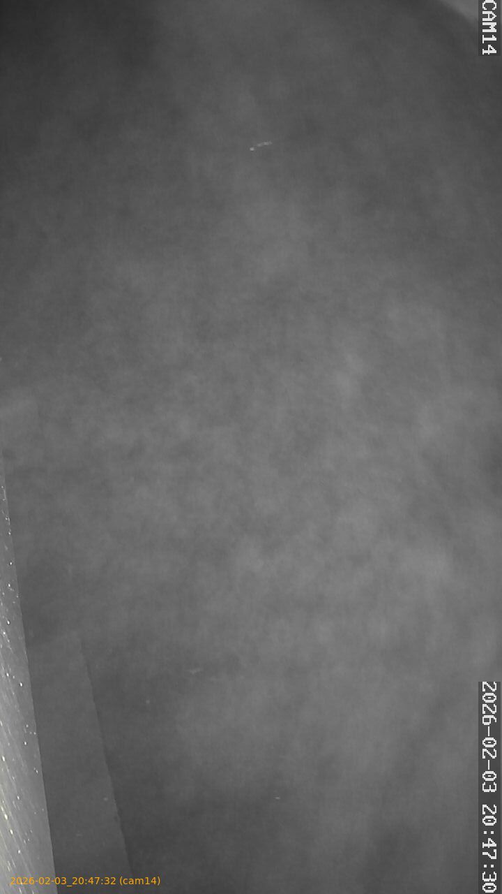 thumbnail_20260203204732