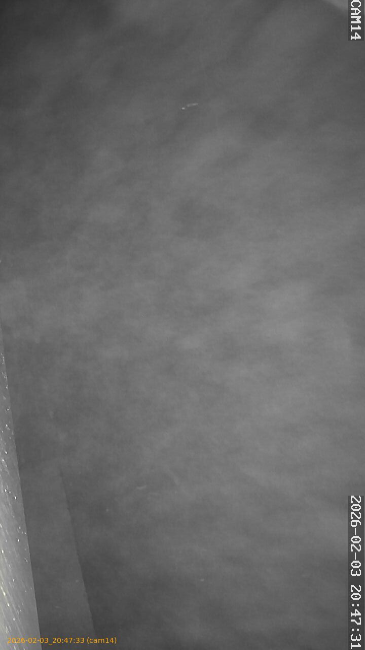 thumbnail_20260203204733