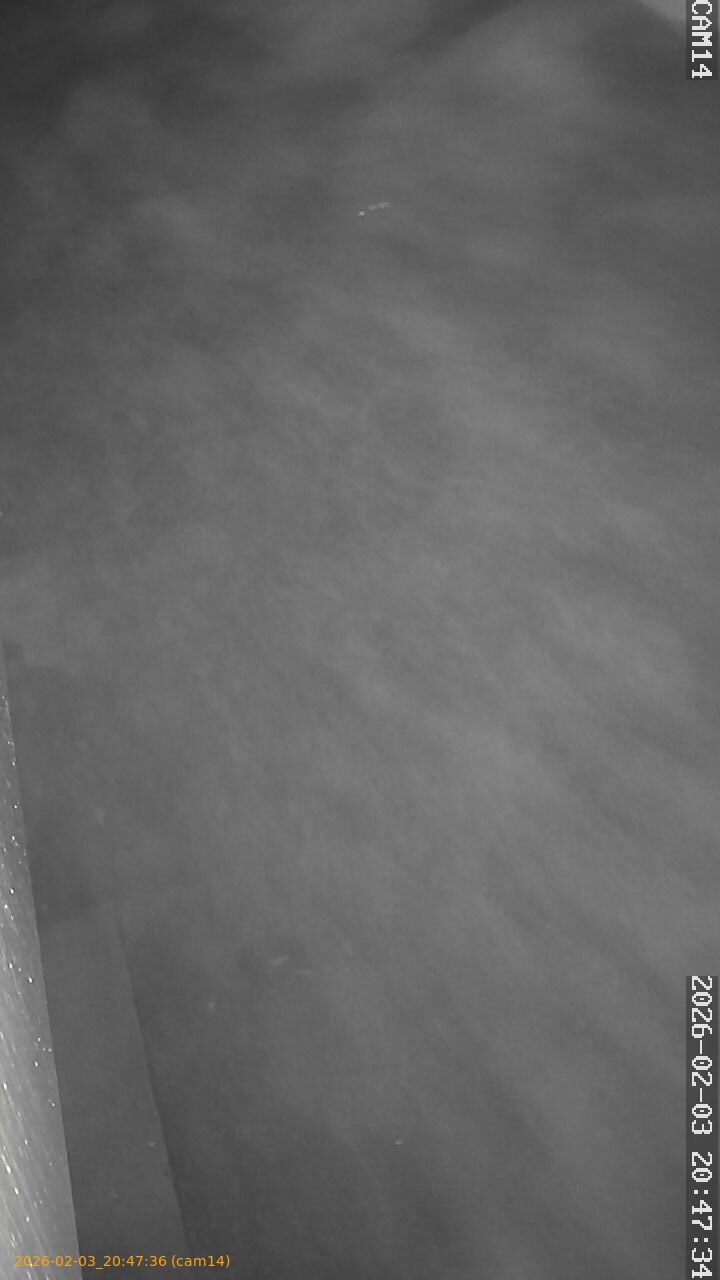 thumbnail_20260203204736