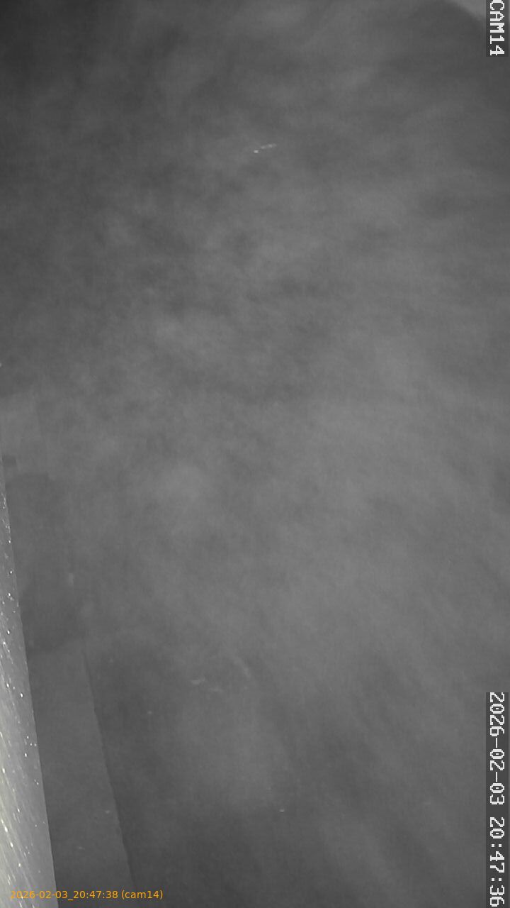 thumbnail_20260203204738