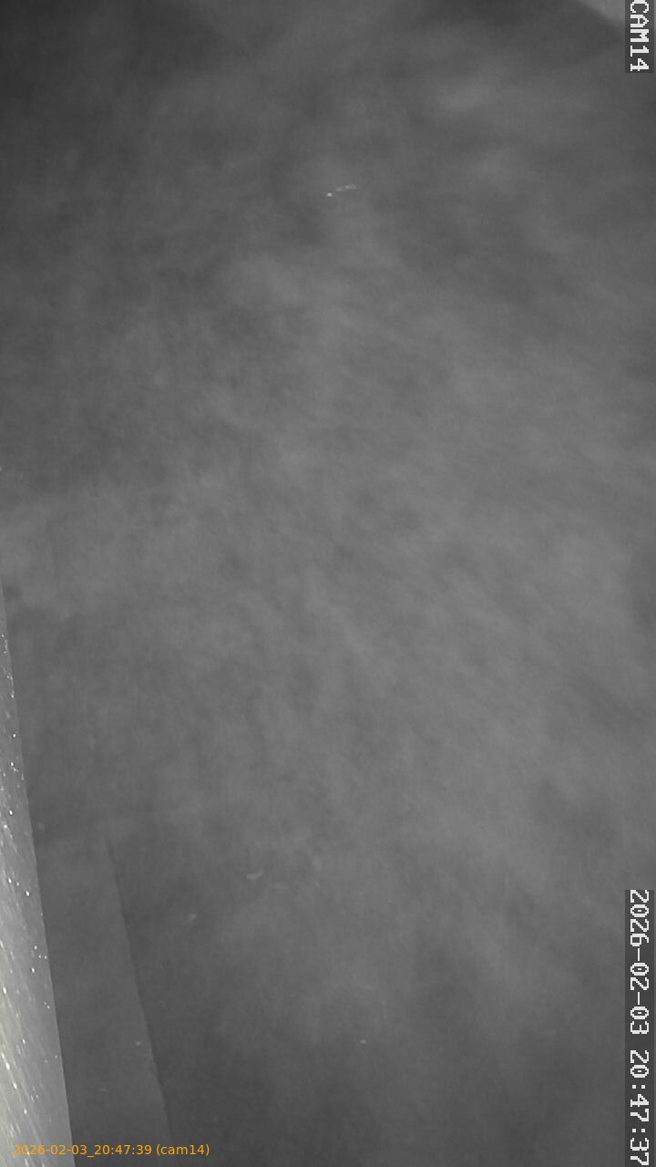 thumbnail_20260203204739