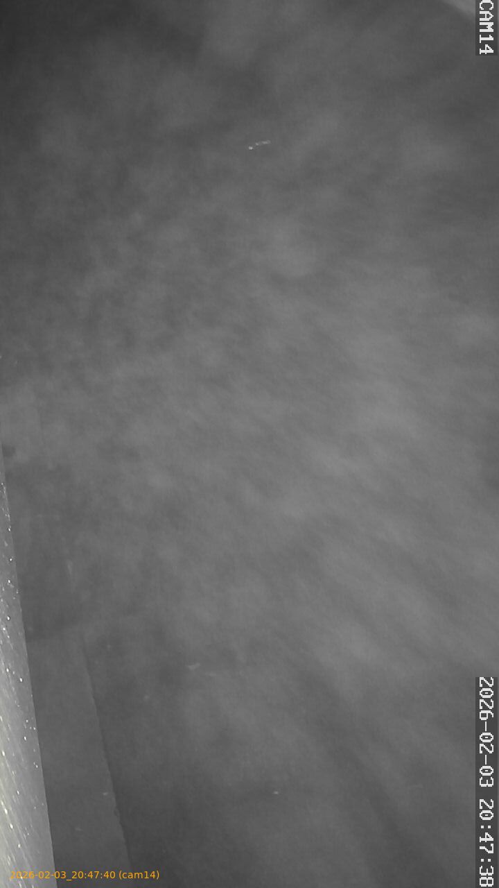 thumbnail_20260203204740