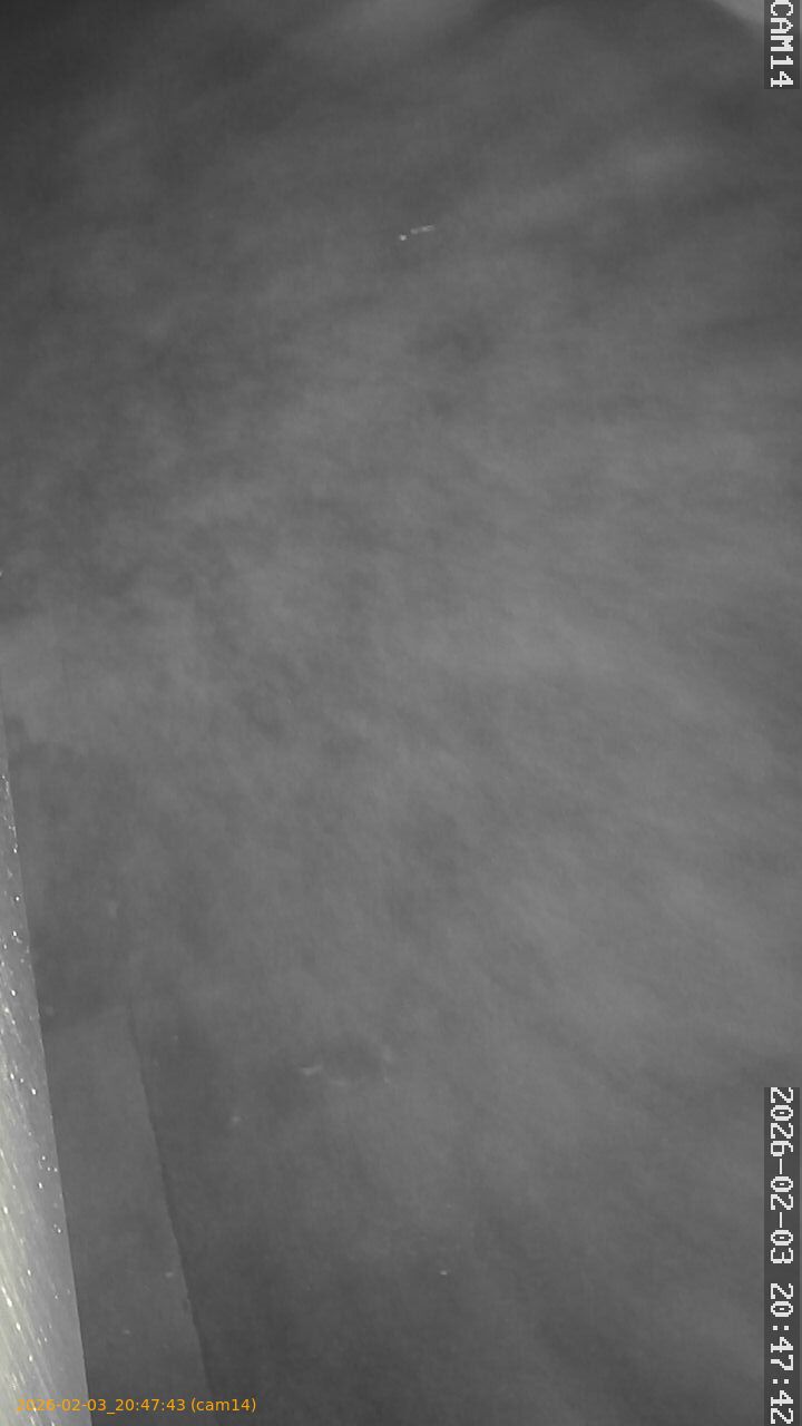 thumbnail_20260203204743