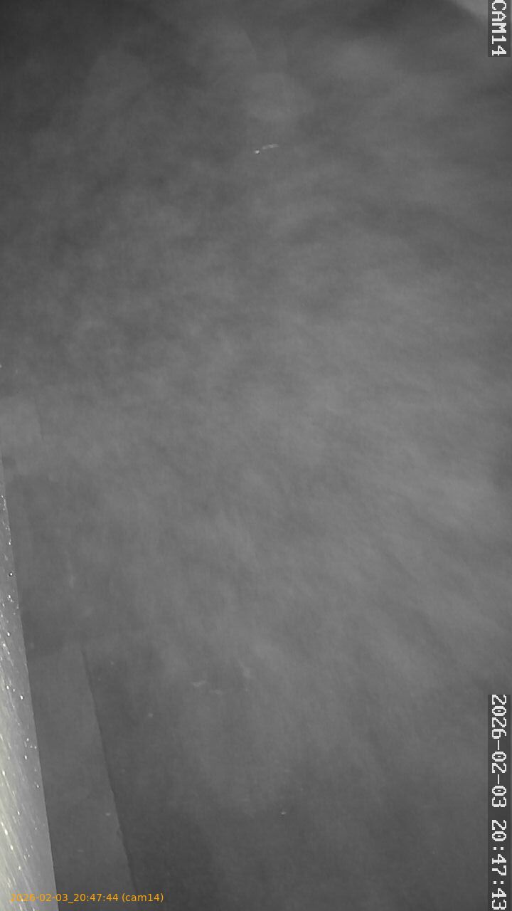 thumbnail_20260203204744