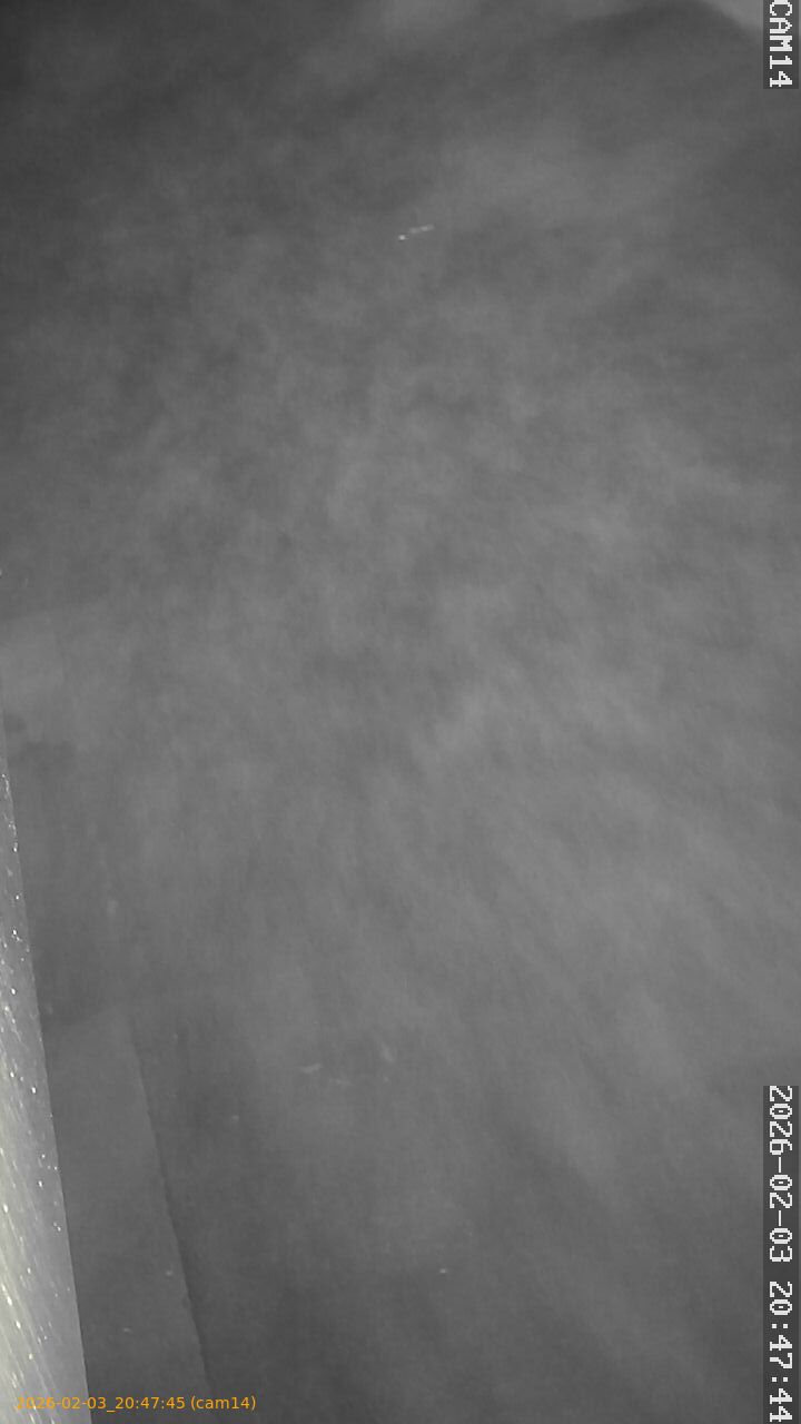 thumbnail_20260203204745