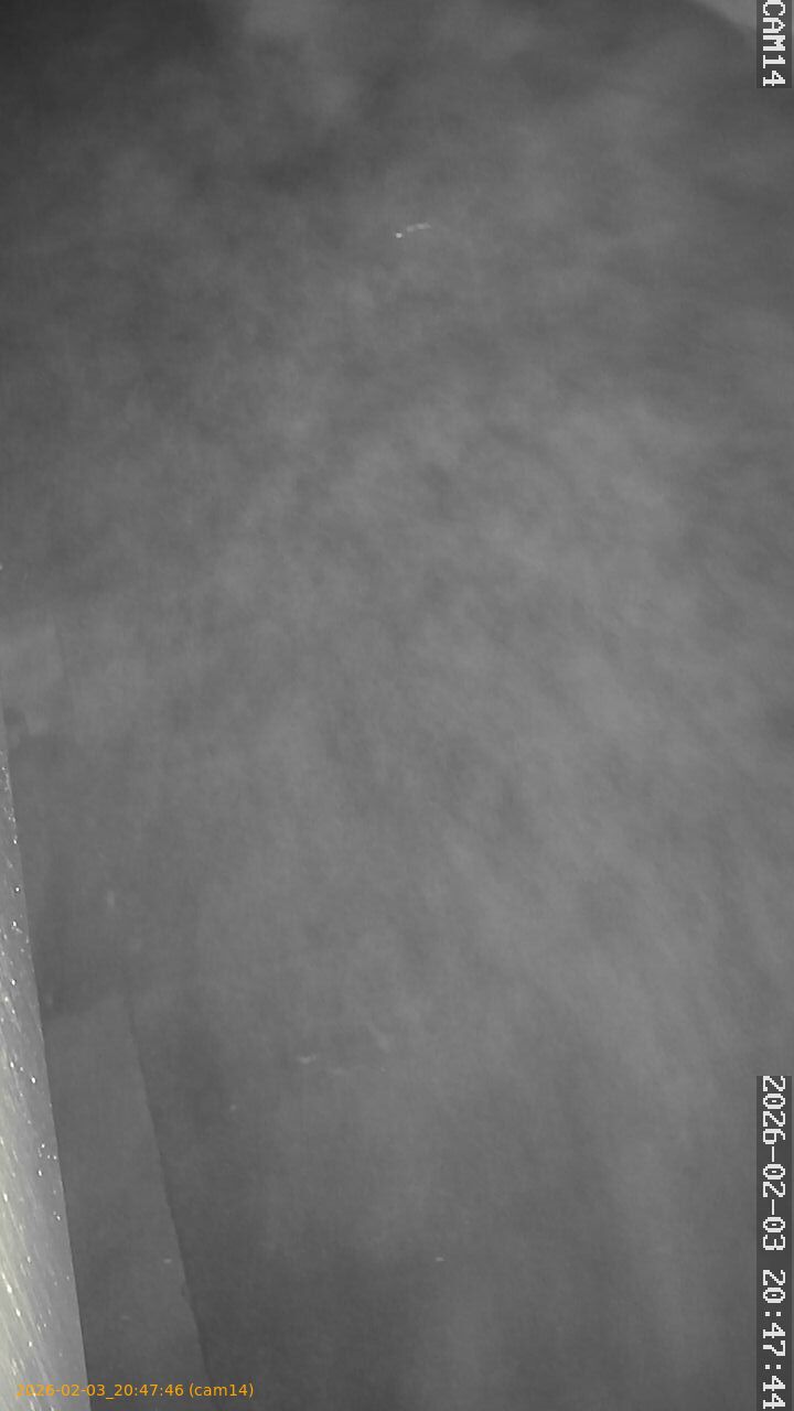 thumbnail_20260203204746