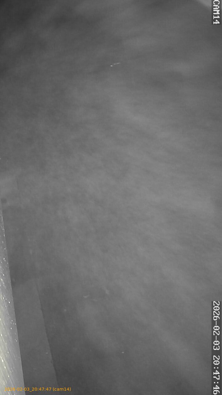 thumbnail_20260203204747