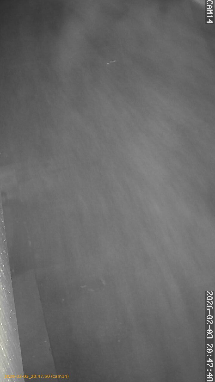 thumbnail_20260203204750