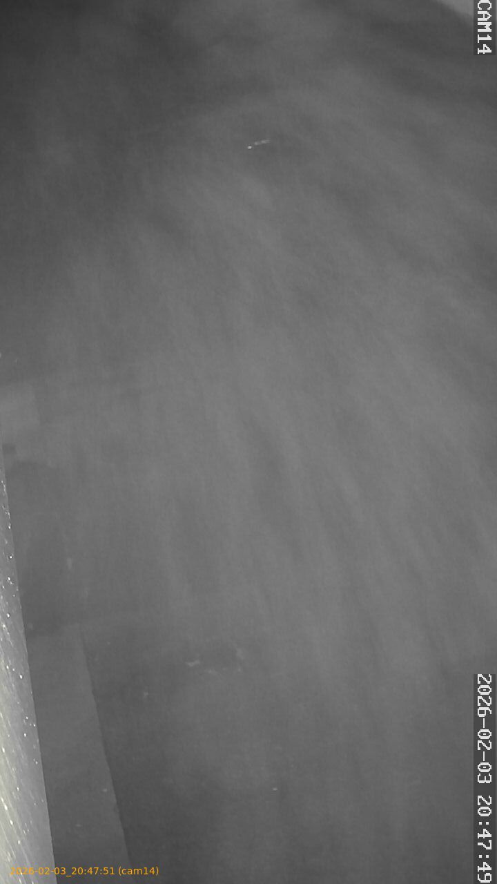 thumbnail_20260203204751