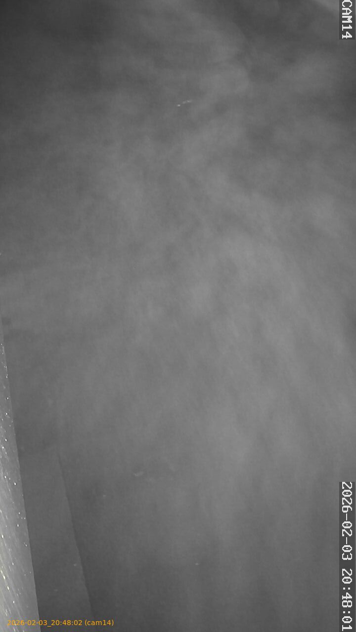 thumbnail_20260203204802