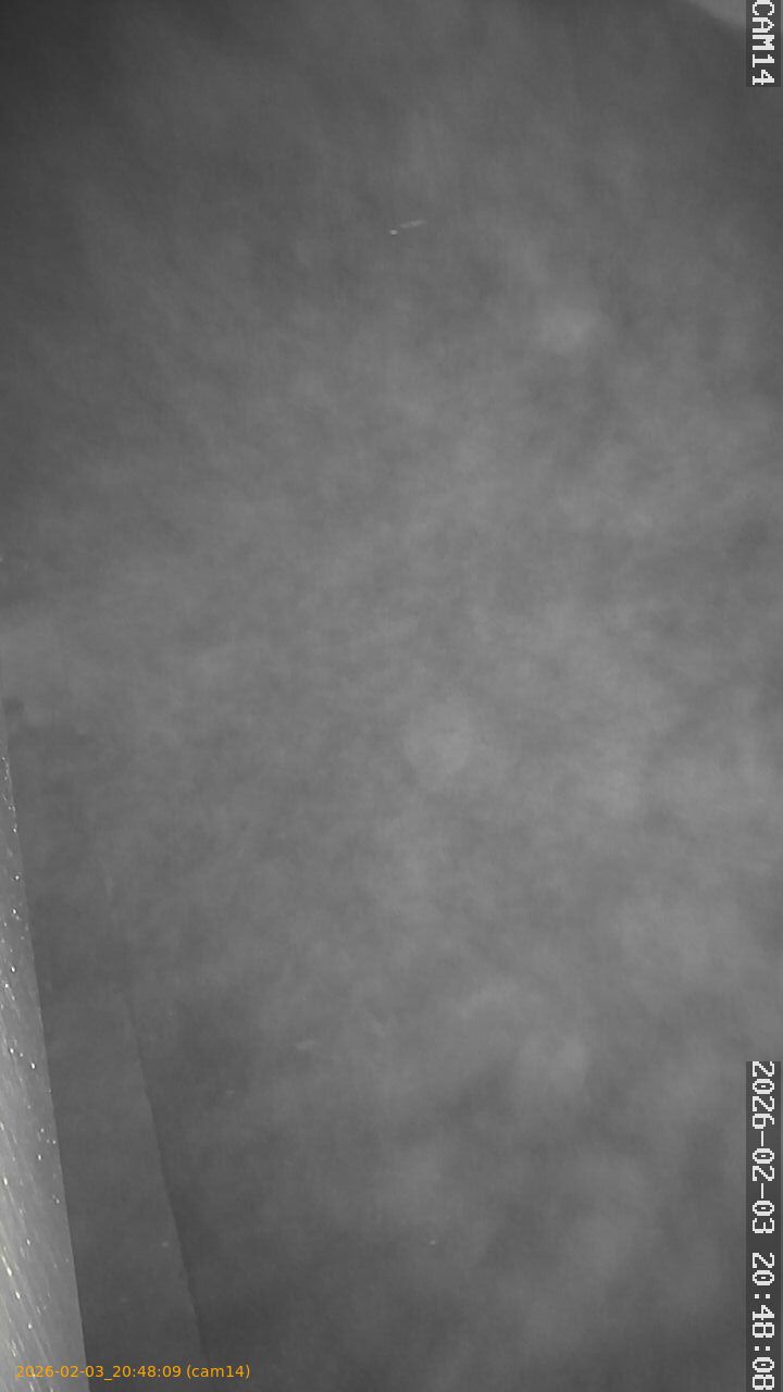 thumbnail_20260203204809