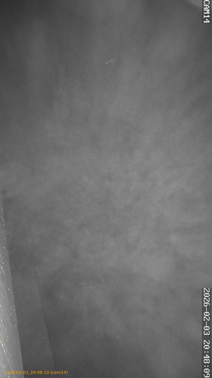 thumbnail_20260203204810