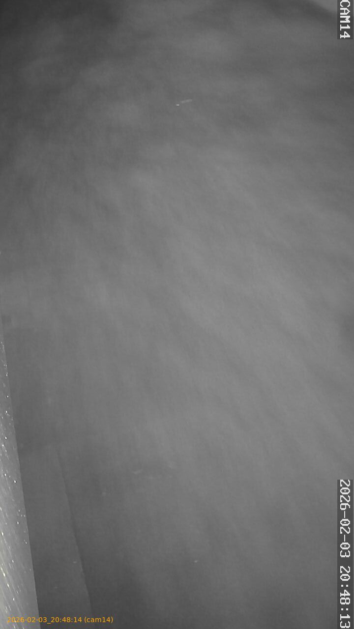 thumbnail_20260203204814