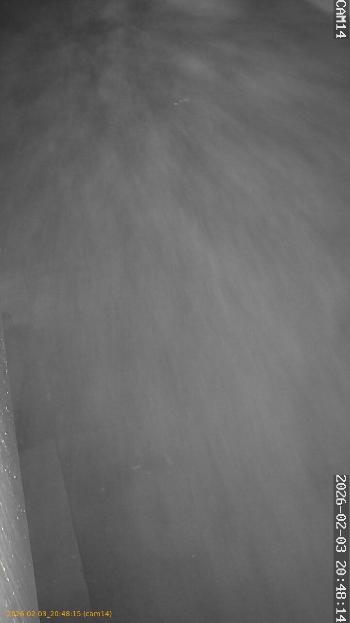 thumbnail_20260203204815