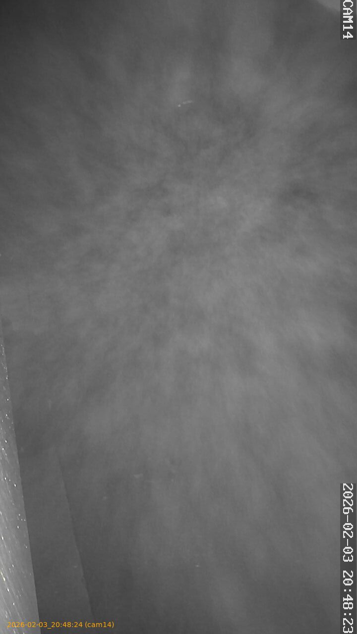 thumbnail_20260203204824