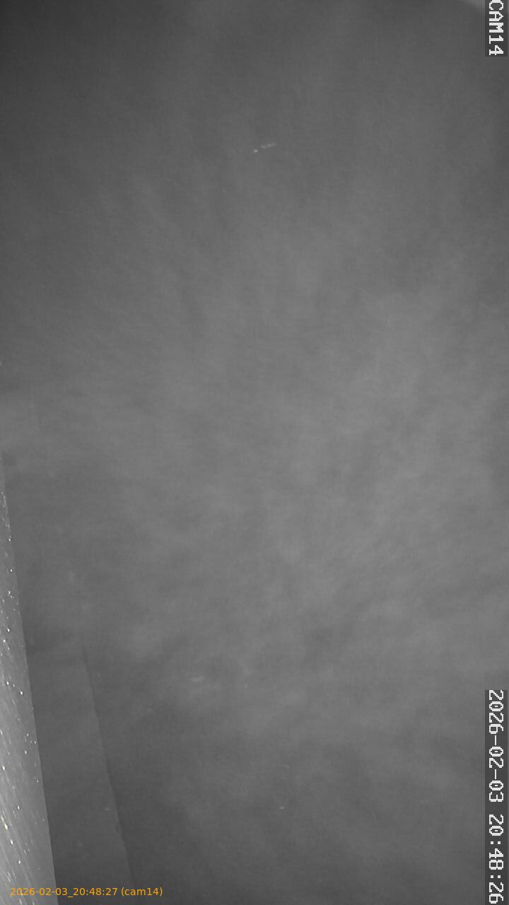 thumbnail_20260203204827