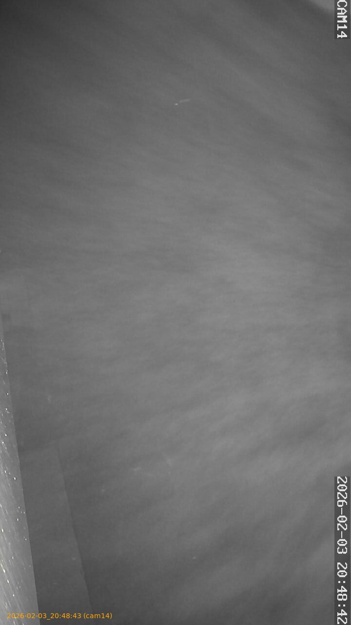 thumbnail_20260203204843