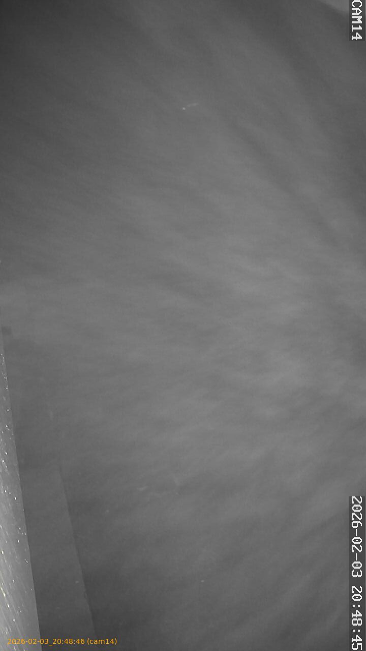 thumbnail_20260203204846