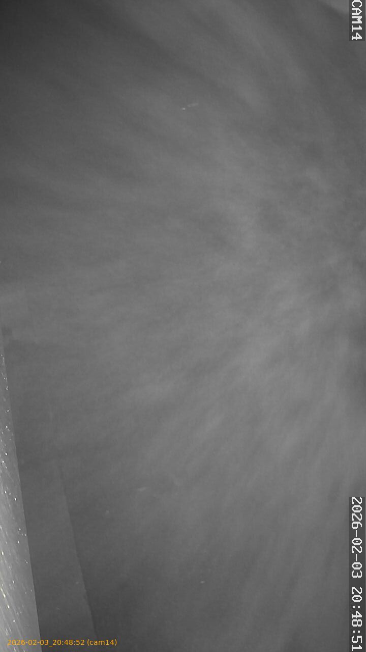 thumbnail_20260203204852