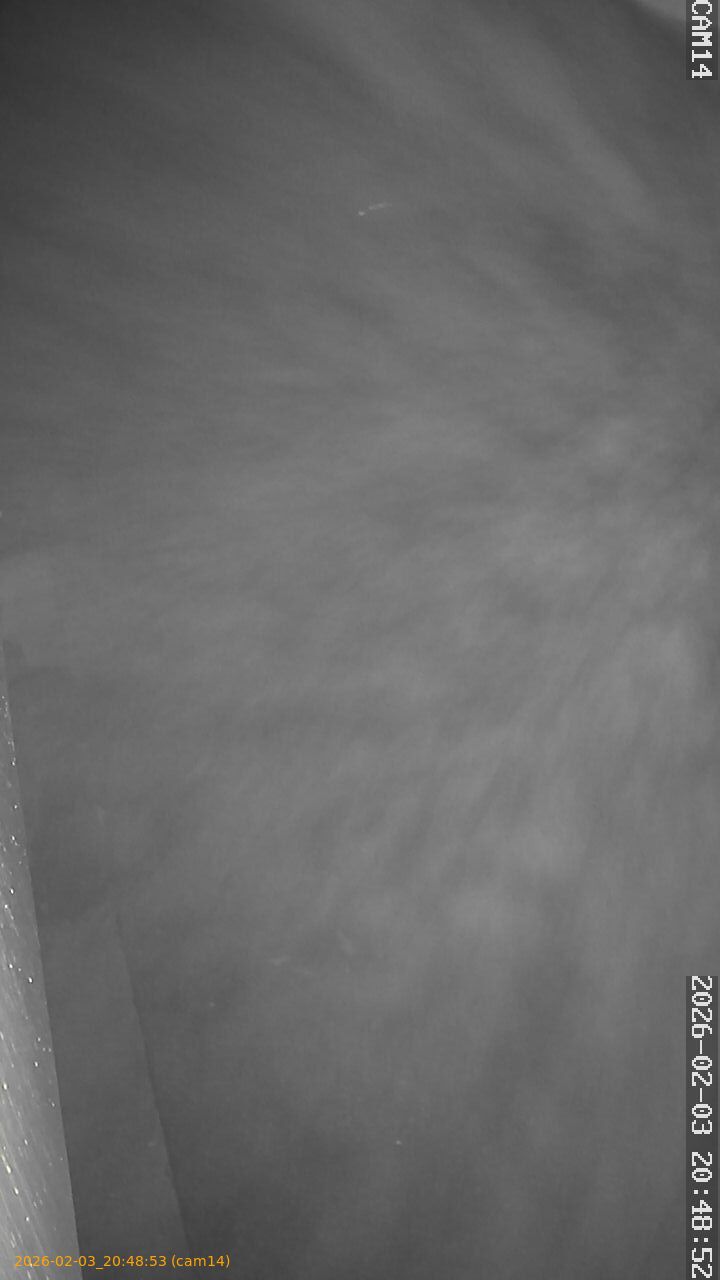 thumbnail_20260203204853