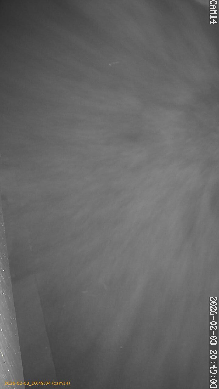 thumbnail_20260203204904