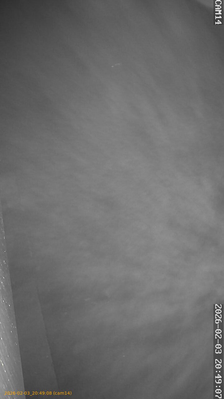 thumbnail_20260203204908