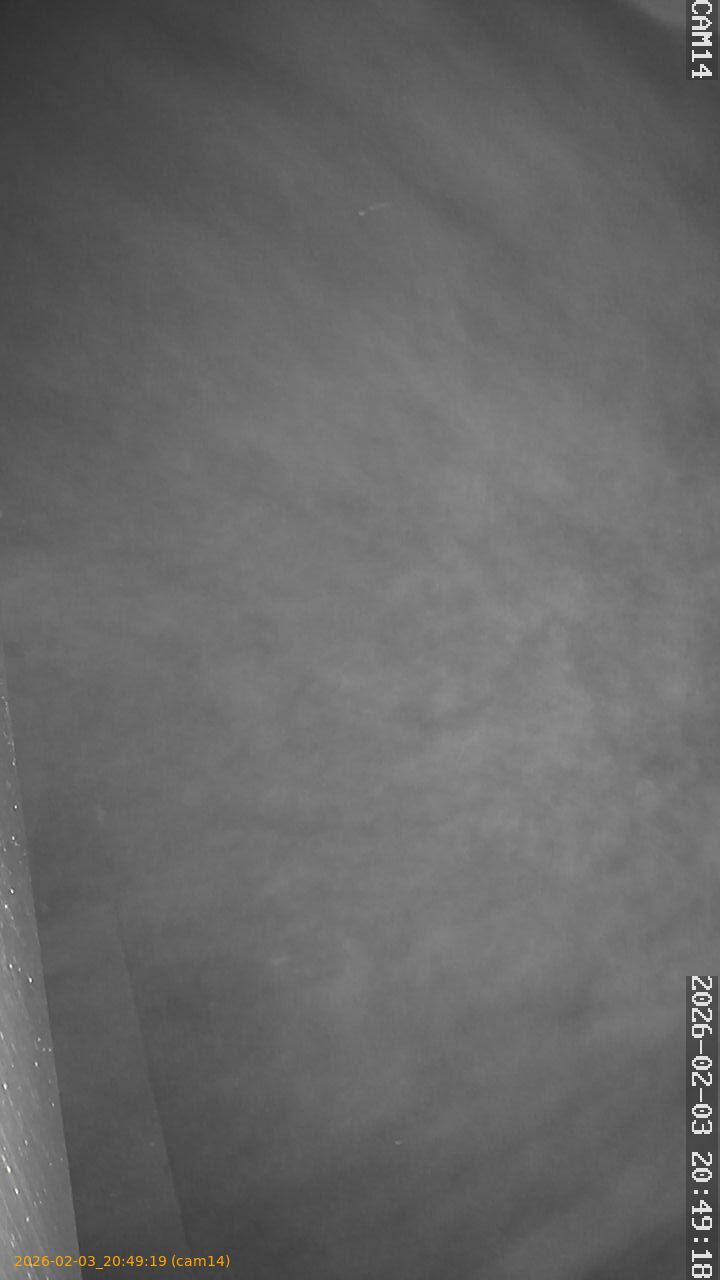 thumbnail_20260203204919