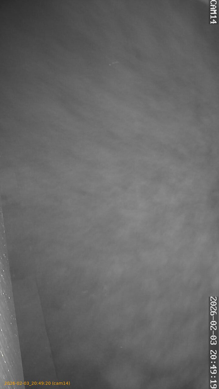 thumbnail_20260203204920