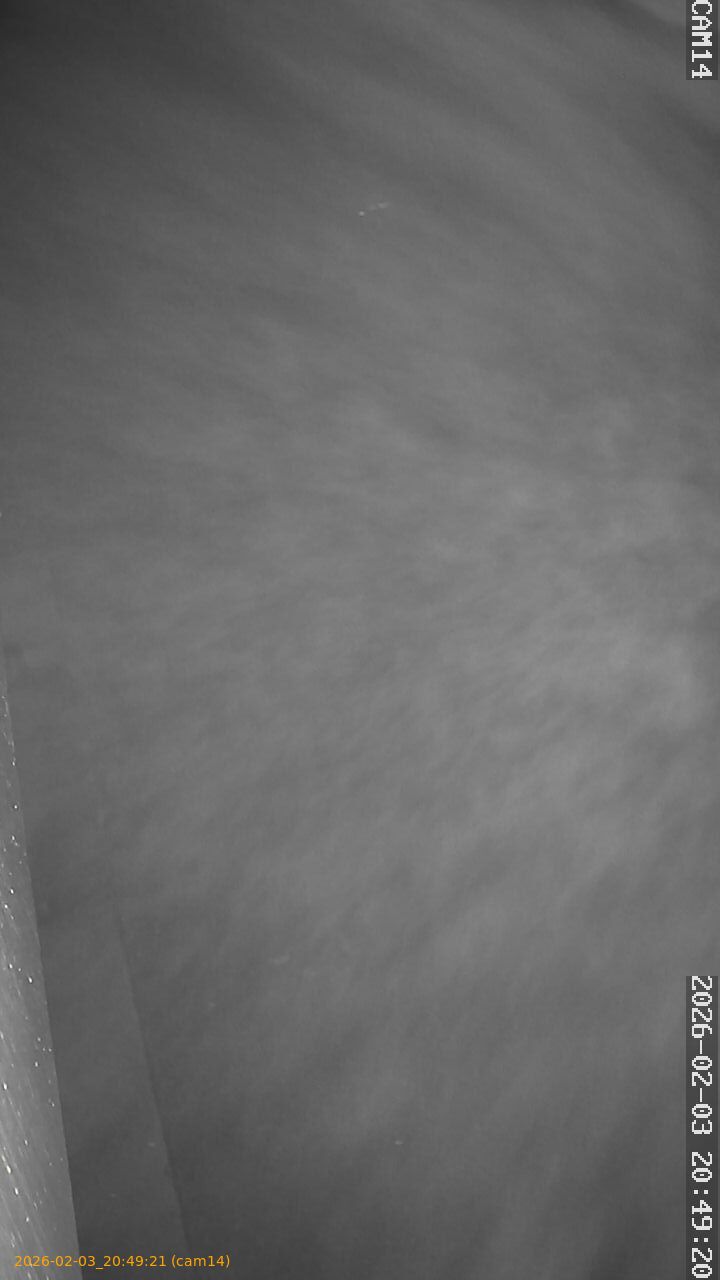 thumbnail_20260203204921