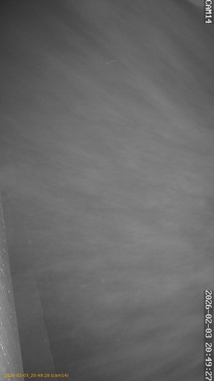 thumbnail_20260203204928